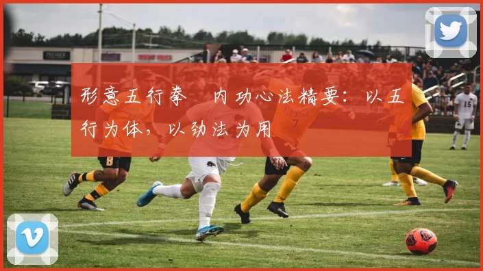 形意五行拳・内功心法精要:以五行为体,以劲法为用