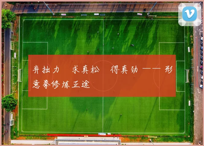 弃拙力・求真松・得真劲 —— 形意拳修炼正途