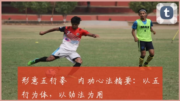 形意五行拳・内功心法精要：以五行为体，以劲法为用