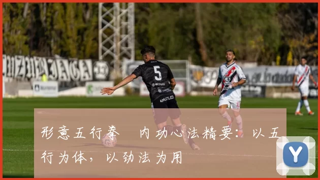 形意五行拳・内功心法精要：以五行为体，以劲法为用