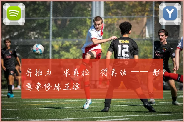 弃拙力・求真松・得真劲 —— 形意拳修炼正途