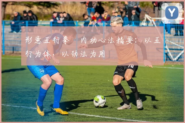形意五行拳・内功心法精要：以五行为体，以劲法为用