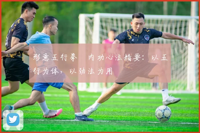 形意五行拳・内功心法精要：以五行为体，以劲法为用