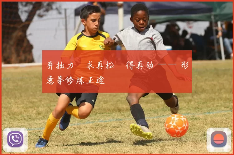 弃拙力・求真松・得真劲 —— 形意拳修炼正途