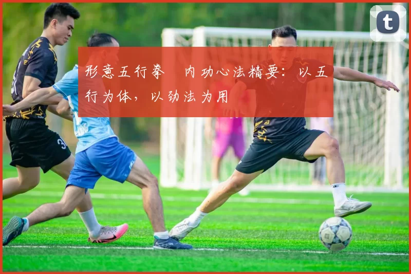 形意五行拳・内功心法精要：以五行为体，以劲法为用