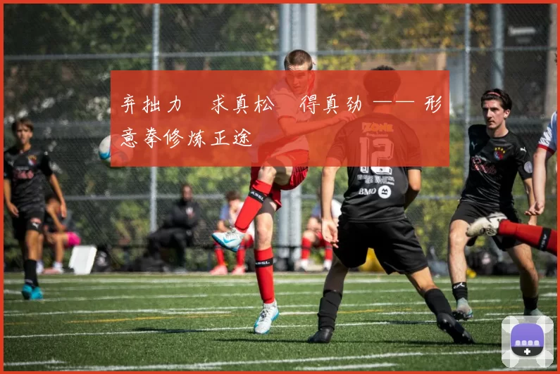 弃拙力・求真松・得真劲 —— 形意拳修炼正途