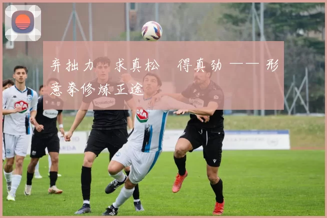 弃拙力・求真松・得真劲 —— 形意拳修炼正途