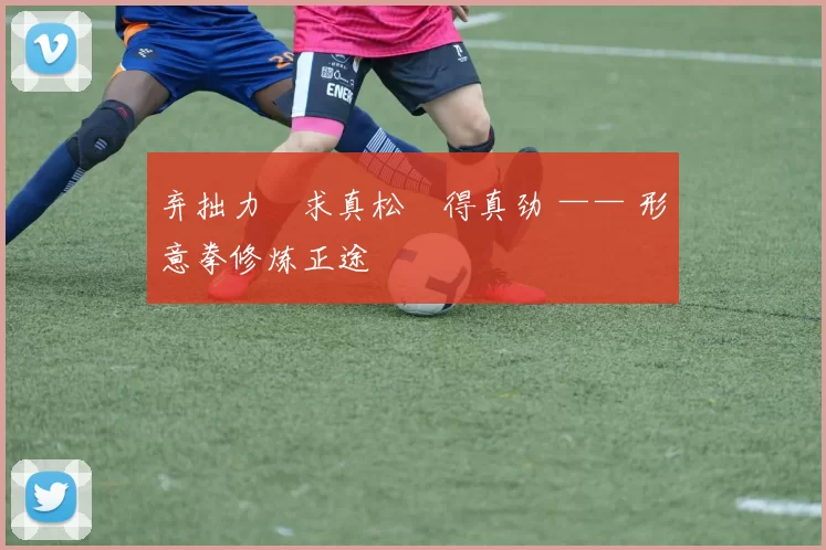 弃拙力・求真松・得真劲 —— 形意拳修炼正途