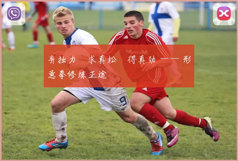 弃拙力・求真松・得真劲 —— 形意拳修炼正途