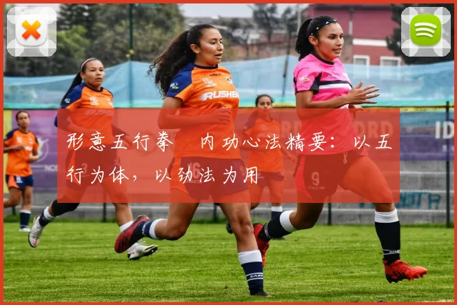 形意五行拳・内功心法精要：以五行为体，以劲法为用