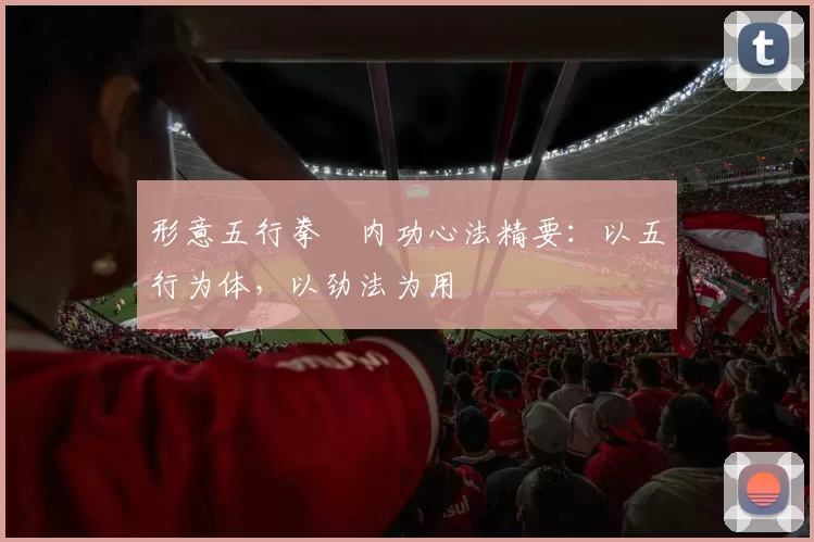 形意五行拳・内功心法精要:以五行为体,以劲法为用