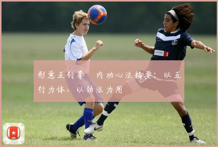 形意五行拳・内功心法精要:以五行为体,以劲法为用