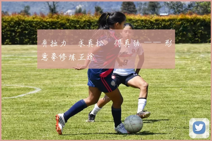 弃拙力・求真松・得真劲 —— 形意拳修炼正途