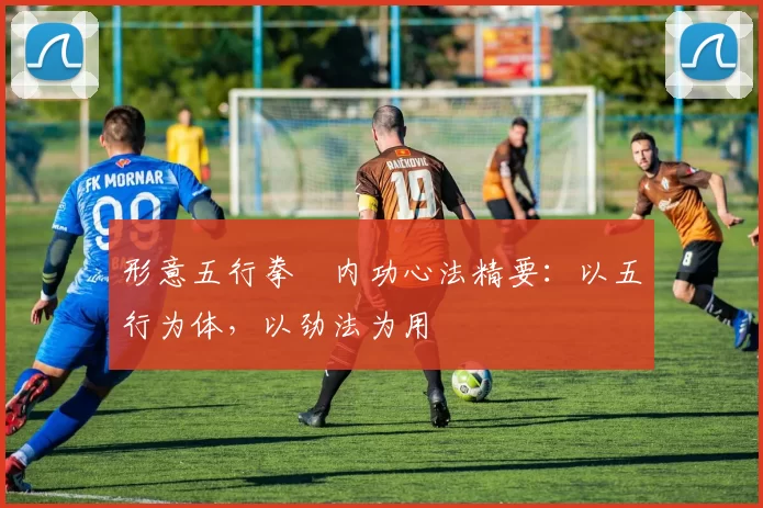 形意五行拳・内功心法精要：以五行为体，以劲法为用