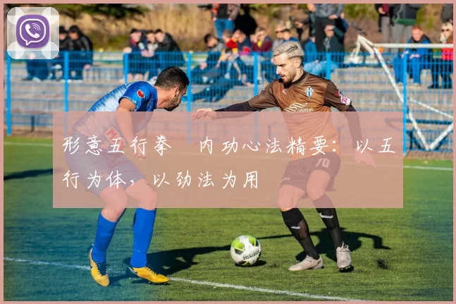 形意五行拳・内功心法精要：以五行为体，以劲法为用