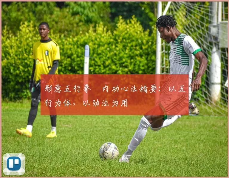 形意五行拳・内功心法精要：以五行为体，以劲法为用