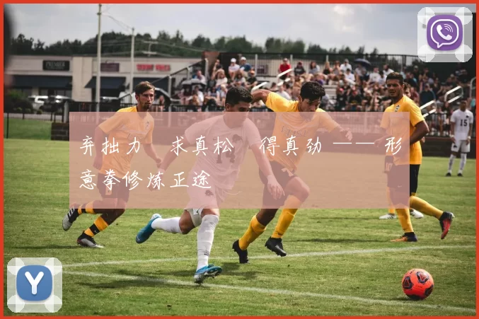 弃拙力・求真松・得真劲 —— 形意拳修炼正途