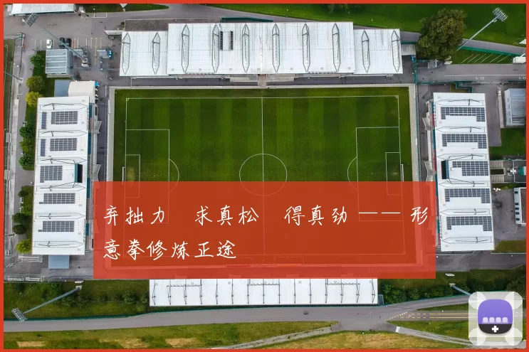 弃拙力・求真松・得真劲 —— 形意拳修炼正途