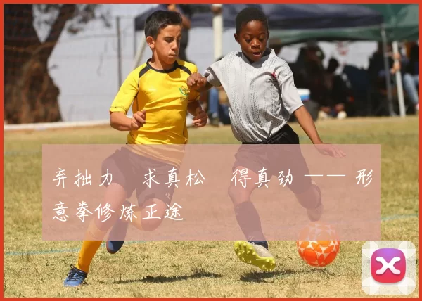 弃拙力・求真松・得真劲 —— 形意拳修炼正途