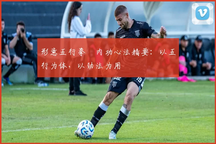 形意五行拳・内功心法精要：以五行为体，以劲法为用