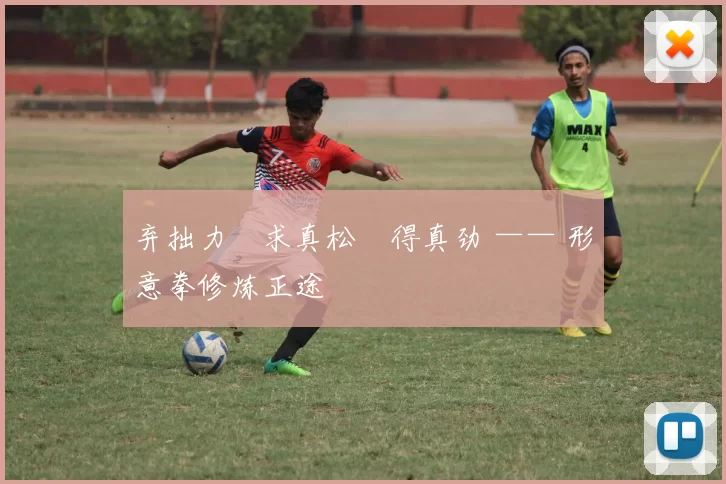 弃拙力・求真松・得真劲 —— 形意拳修炼正途