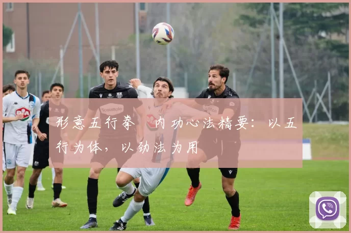 形意五行拳・内功心法精要:以五行为体,以劲法为用