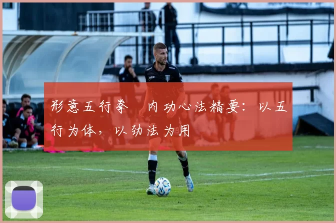 形意五行拳・内功心法精要:以五行为体,以劲法为用