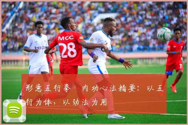 形意五行拳・内功心法精要：以五行为体，以劲法为用