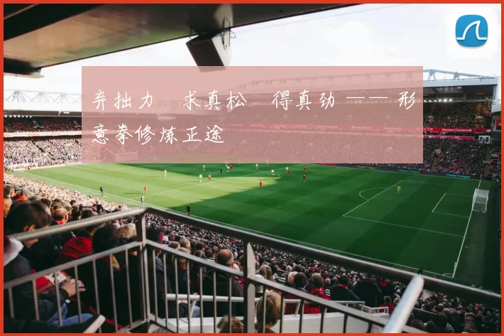 弃拙力・求真松・得真劲 —— 形意拳修炼正途