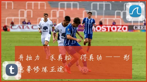 弃拙力・求真松・得真劲 —— 形意拳修炼正途