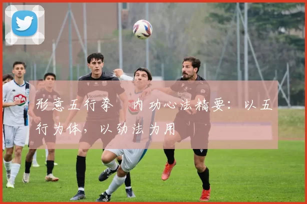 形意五行拳・内功心法精要:以五行为体,以劲法为用