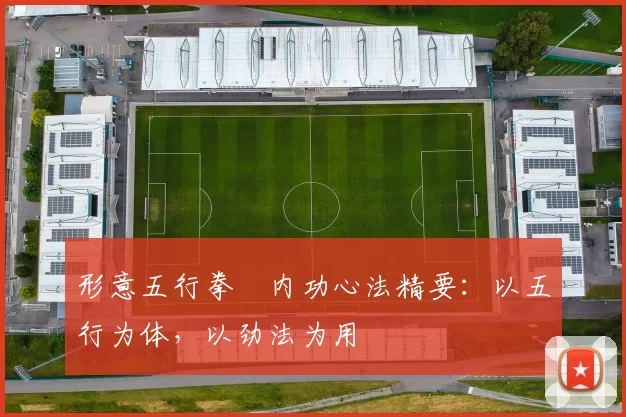 形意五行拳・内功心法精要：以五行为体，以劲法为用