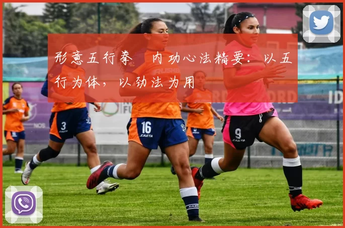 形意五行拳・内功心法精要:以五行为体,以劲法为用