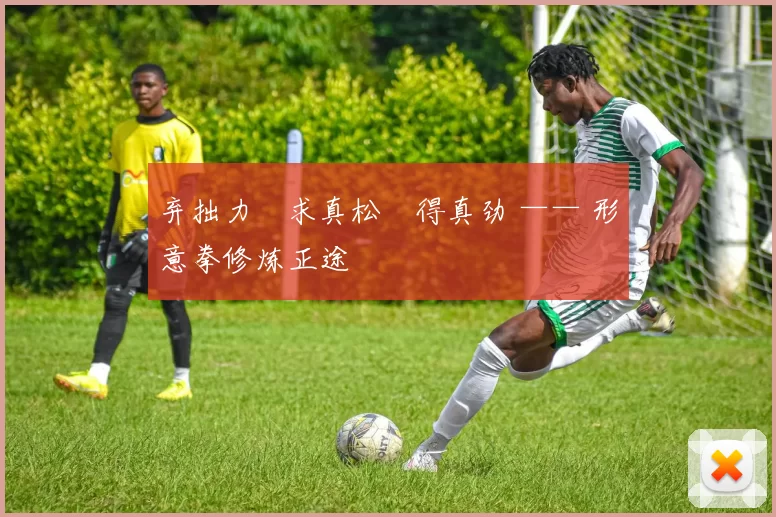 弃拙力・求真松・得真劲 —— 形意拳修炼正途