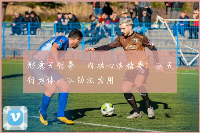 形意五行拳・内功心法精要：以五行为体，以劲法为用