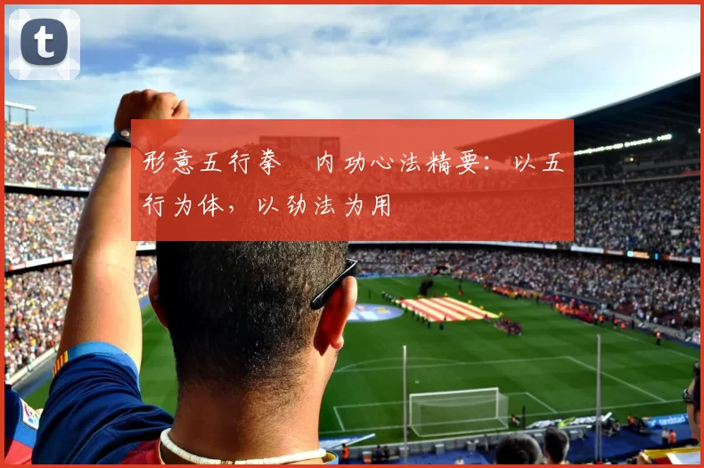 形意五行拳・内功心法精要:以五行为体,以劲法为用