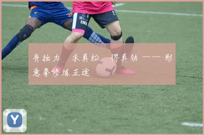 弃拙力・求真松・得真劲 —— 形意拳修炼正途