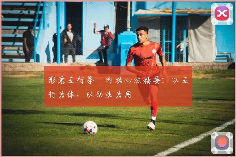 形意五行拳・内功心法精要:以五行为体,以劲法为用