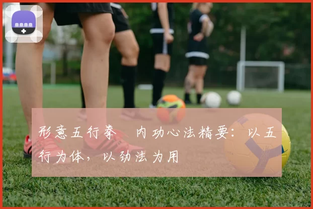 形意五行拳・内功心法精要：以五行为体，以劲法为用