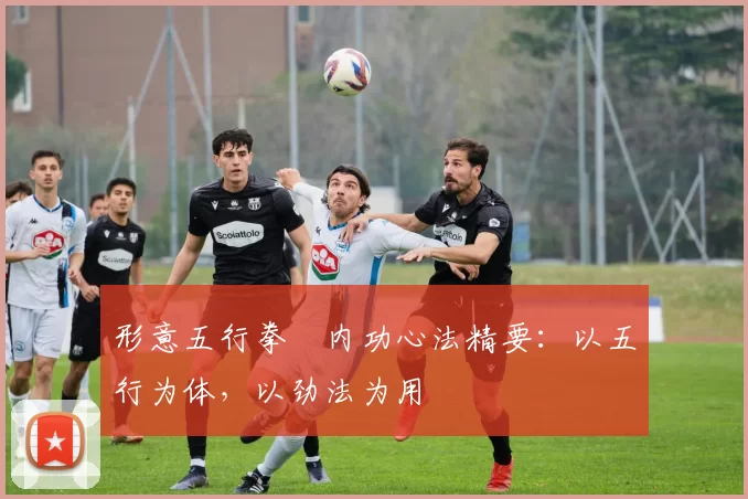 形意五行拳・内功心法精要：以五行为体，以劲法为用