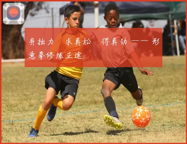 弃拙力・求真松・得真劲 —— 形意拳修炼正途