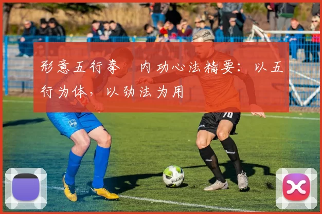 形意五行拳・内功心法精要：以五行为体，以劲法为用