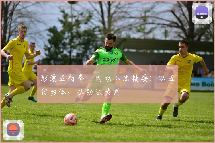 形意五行拳・内功心法精要：以五行为体，以劲法为用