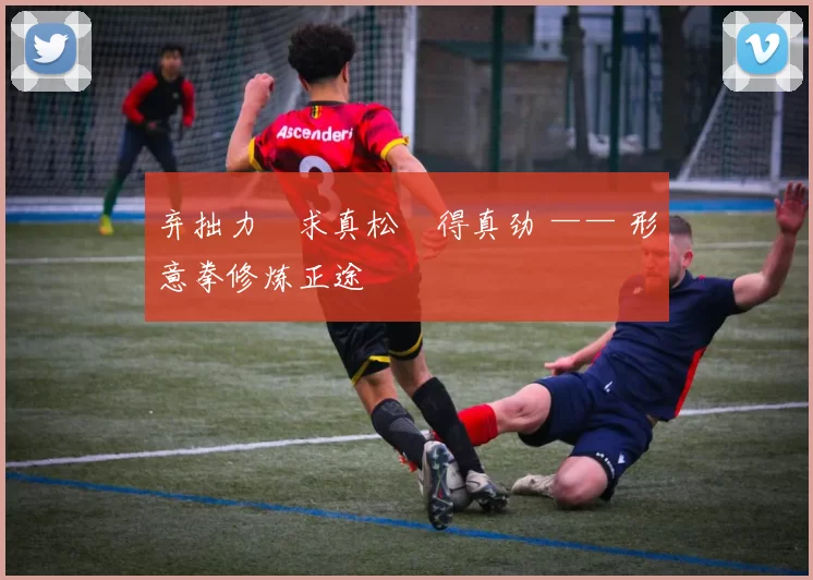 弃拙力・求真松・得真劲 —— 形意拳修炼正途