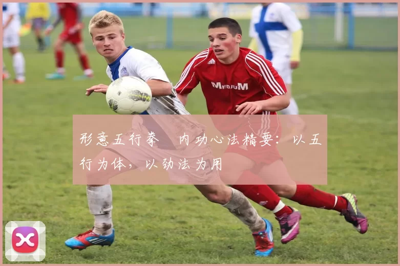 形意五行拳・内功心法精要：以五行为体，以劲法为用