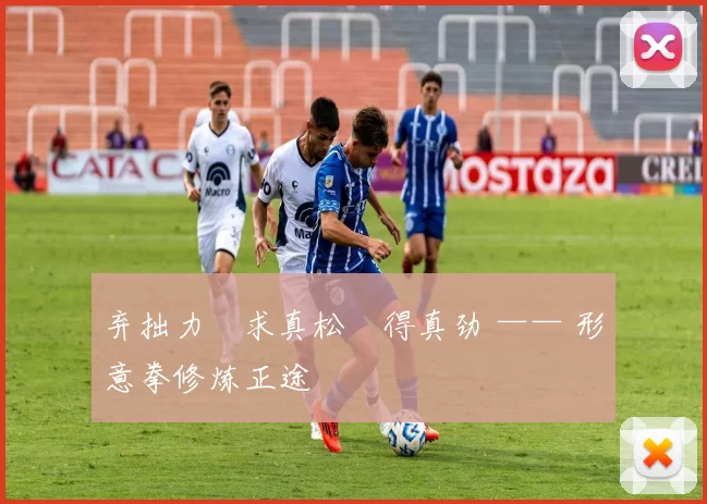 弃拙力・求真松・得真劲 —— 形意拳修炼正途