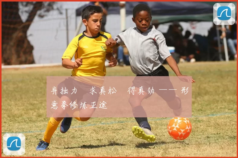 弃拙力・求真松・得真劲 —— 形意拳修炼正途