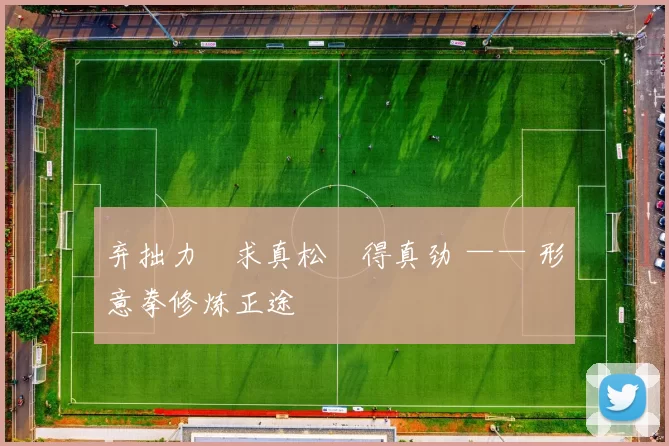 弃拙力・求真松・得真劲 —— 形意拳修炼正途