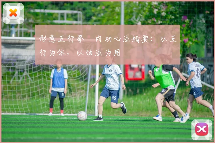 形意五行拳・内功心法精要：以五行为体，以劲法为用