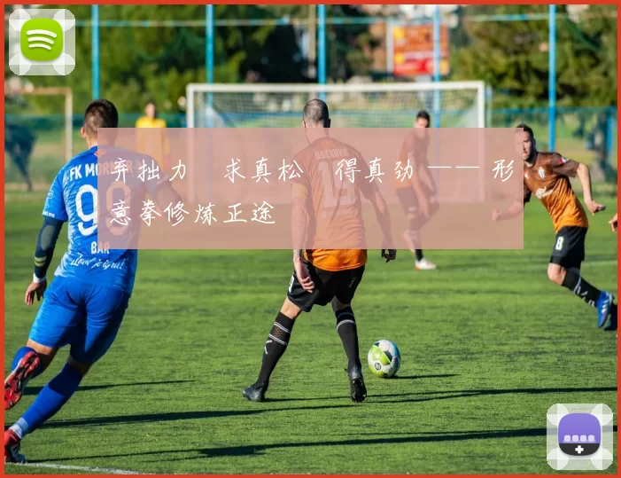 弃拙力・求真松・得真劲 —— 形意拳修炼正途